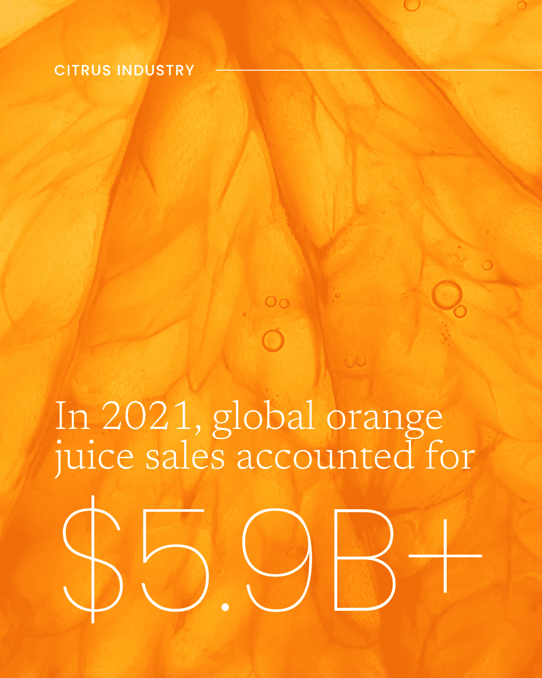 Digital & Social Media Marketing