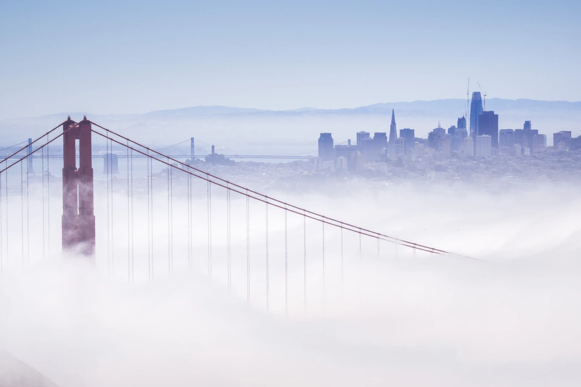 Alta Advisors contact page background image featuring San Francisco skyline and Golden Gate Bridge emerging through morning fog