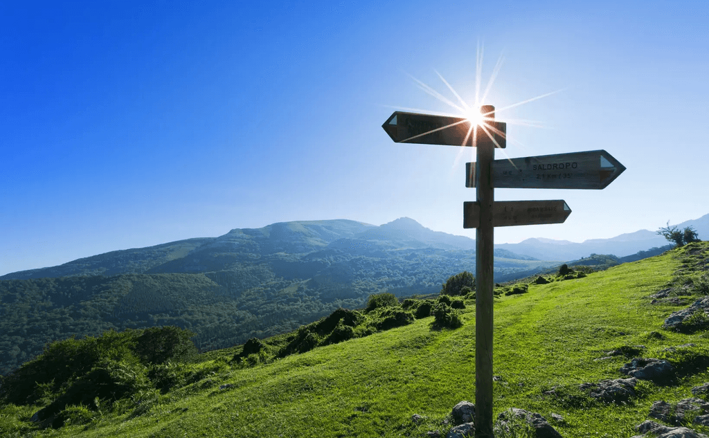 Wegweiser in Berglandschaft – Symbolbild für die strategische Wahl des passenden Investorentyps von Angel bis Private Equity