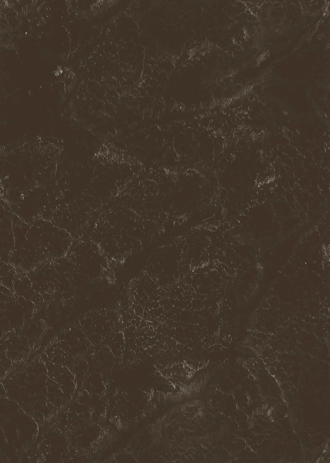 1919 Pattern — Brown Smoke
