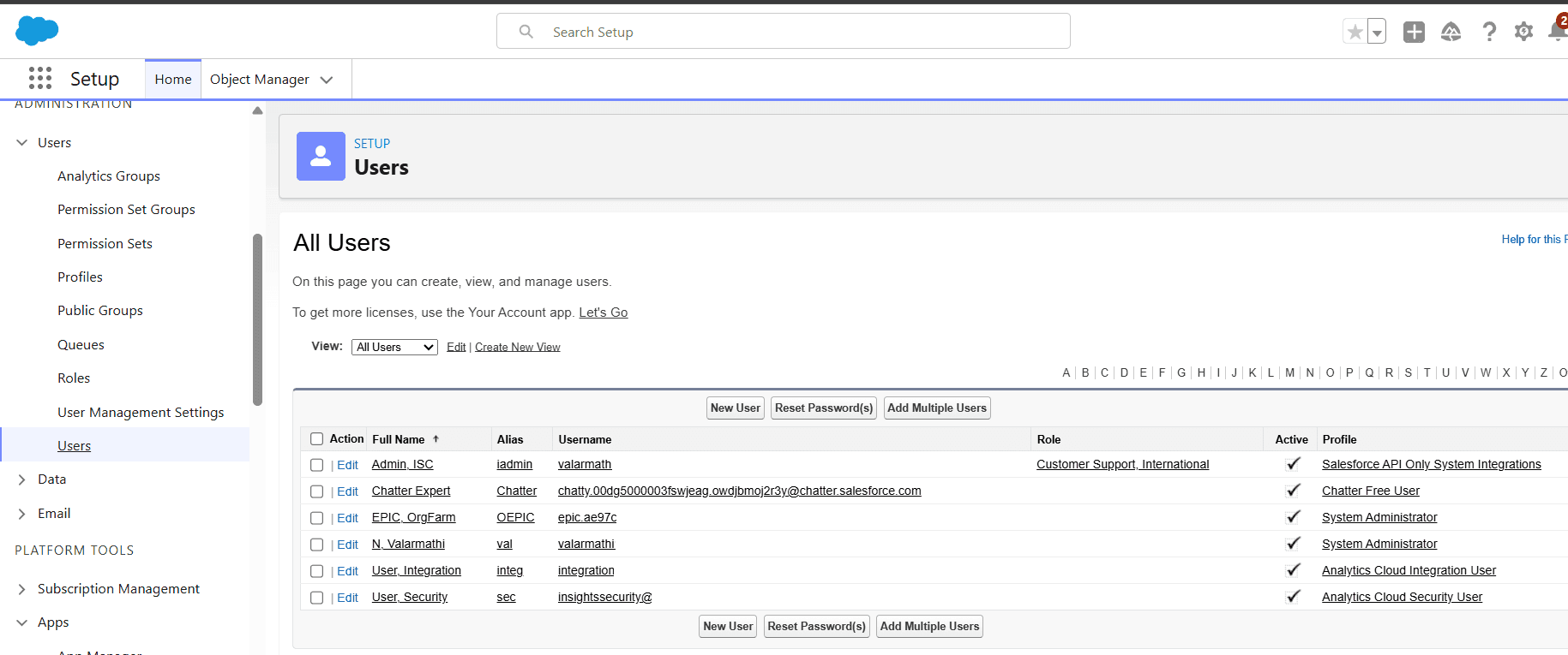 Salesforce Setup page showing the Users management screen with a list of users, roles, profiles, and user administration options.