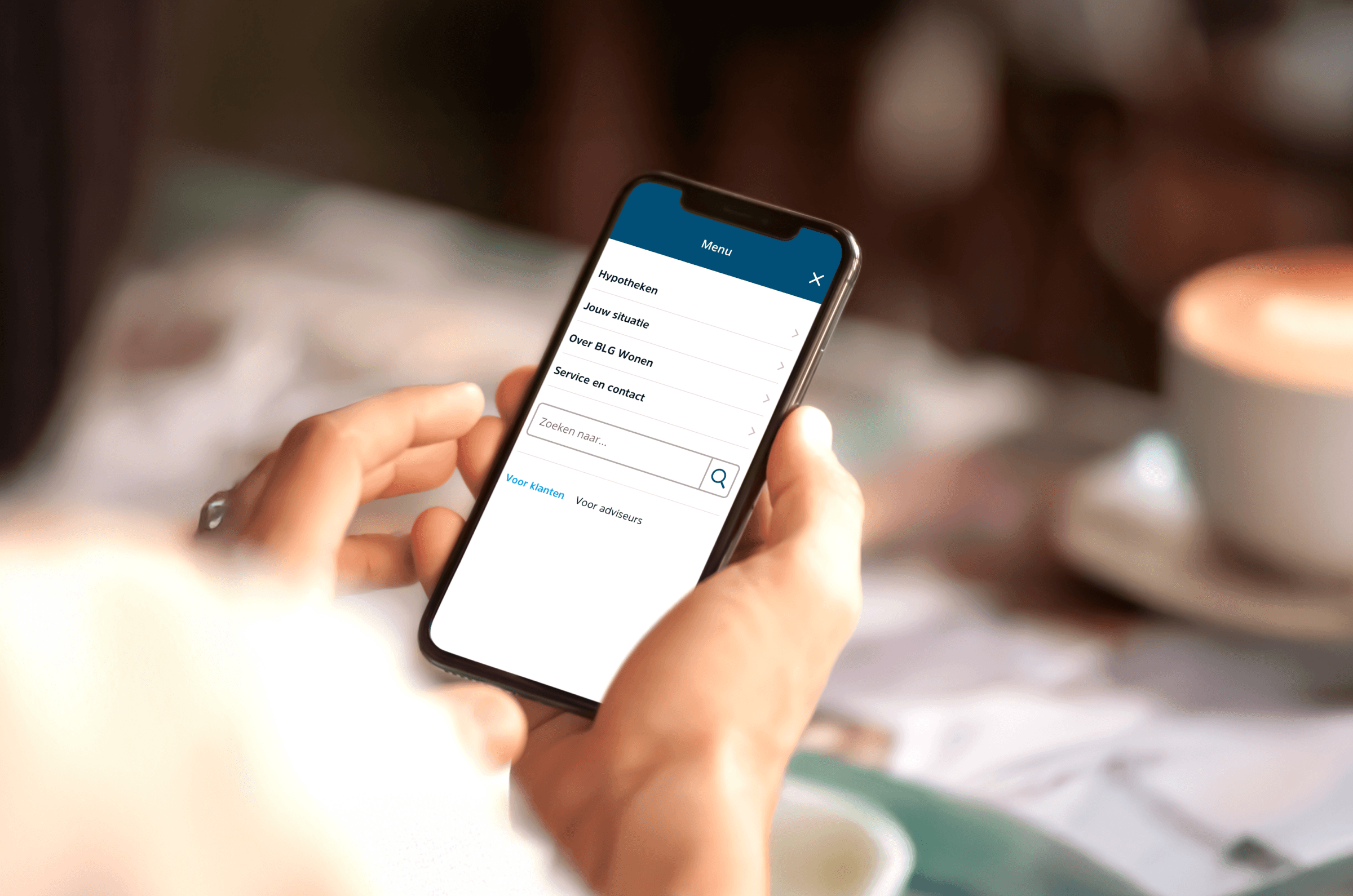 Mockup of mobile menu volksbank