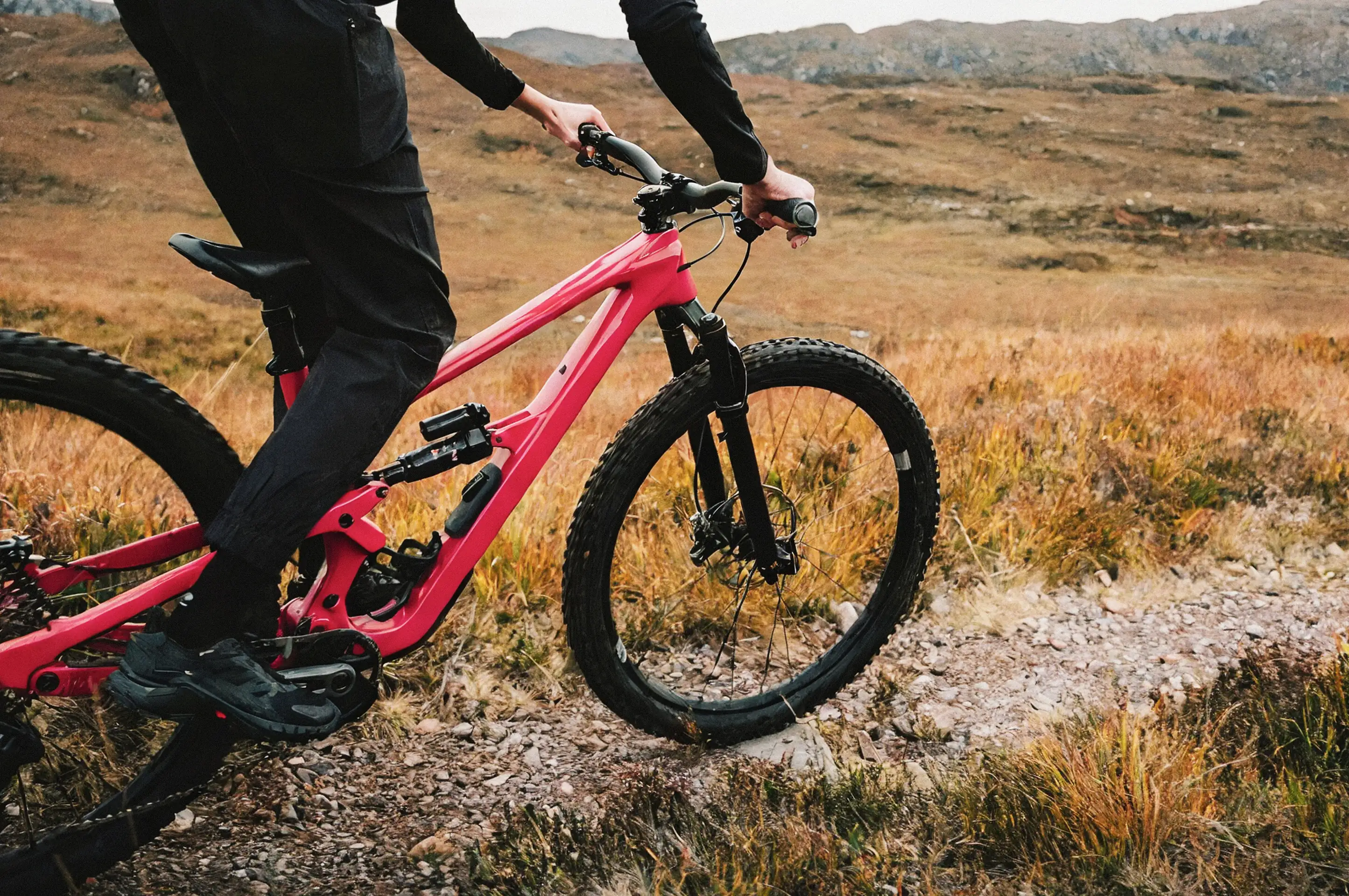 Table with pharmaceutical pills