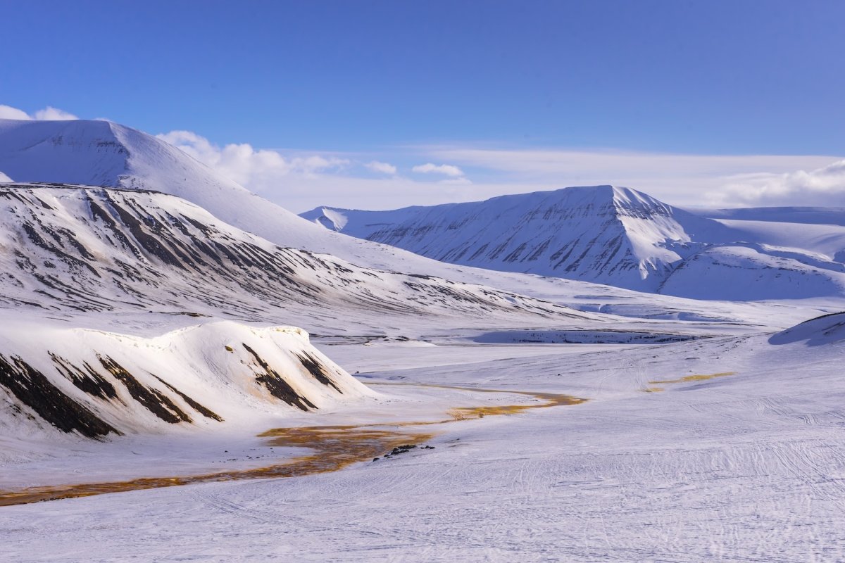 brown and white temple surrounded by green trees during daytime