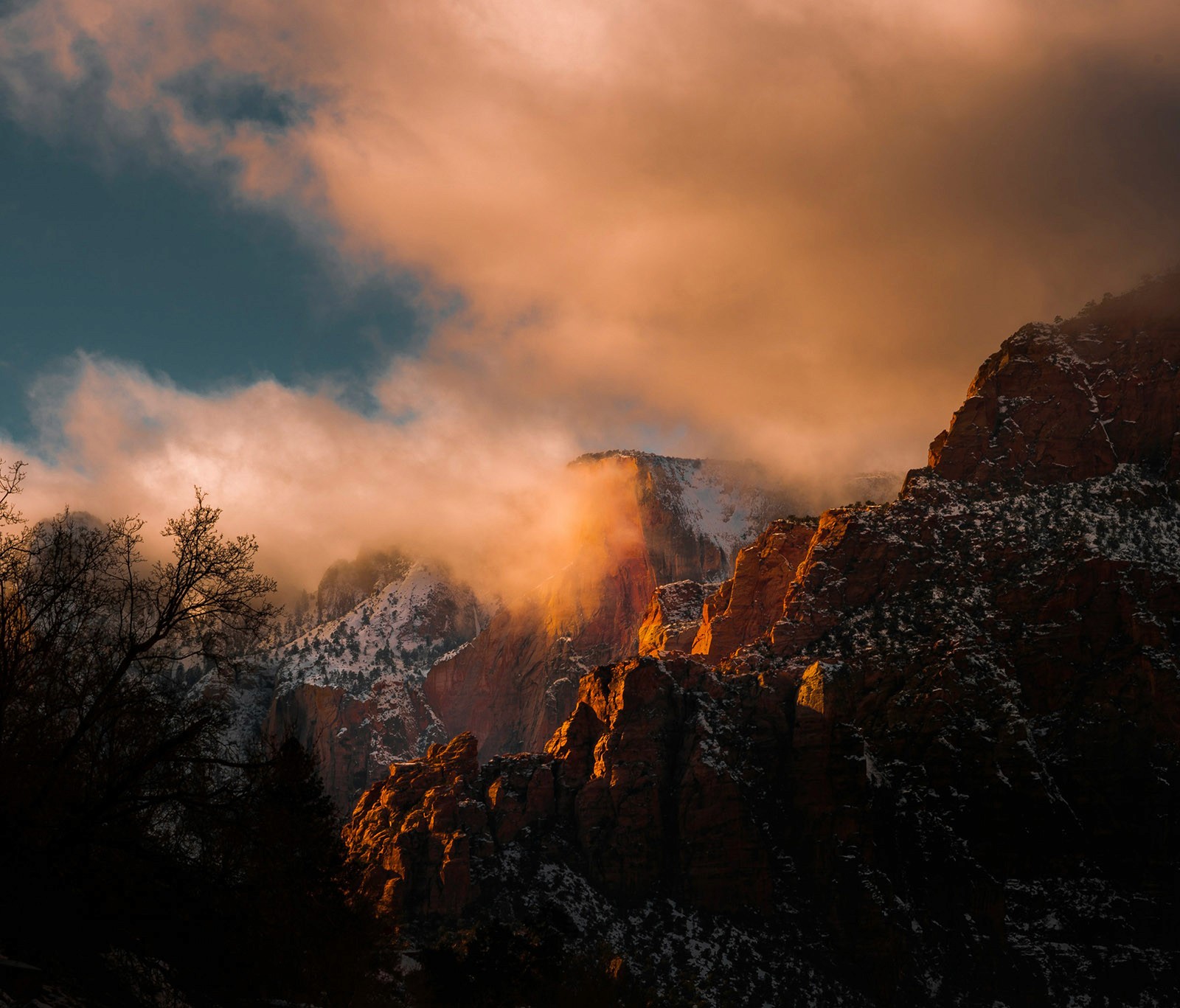 Path winding through a field of pink flowers