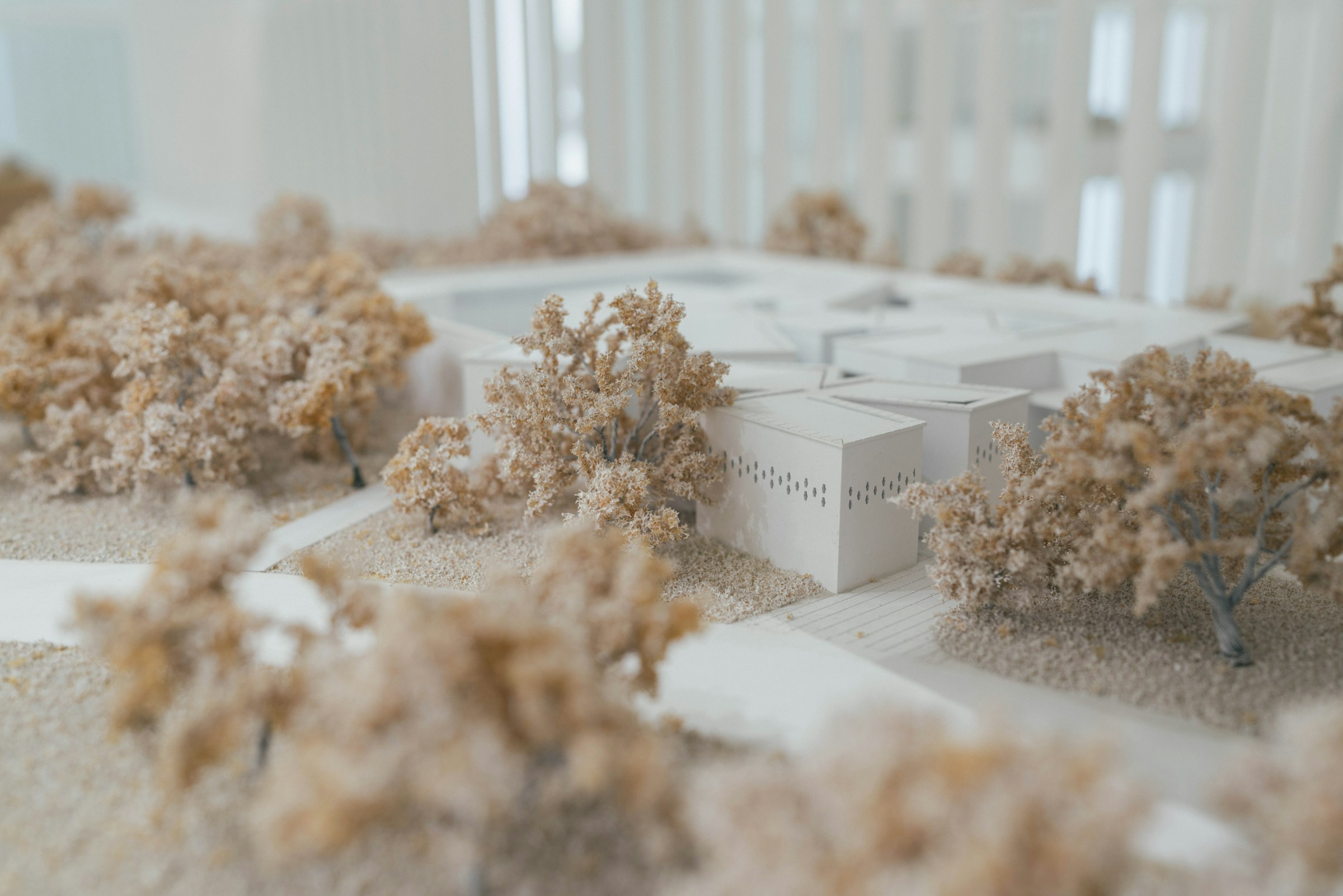 Masterplan model with card buildings and dried-plant trees