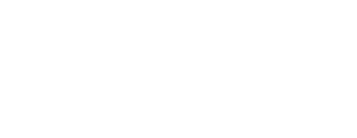 Wizr