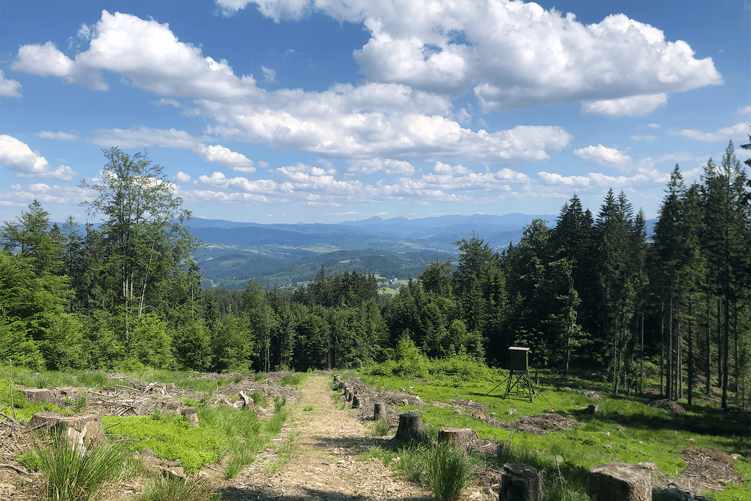 Drone shot of a running track at night