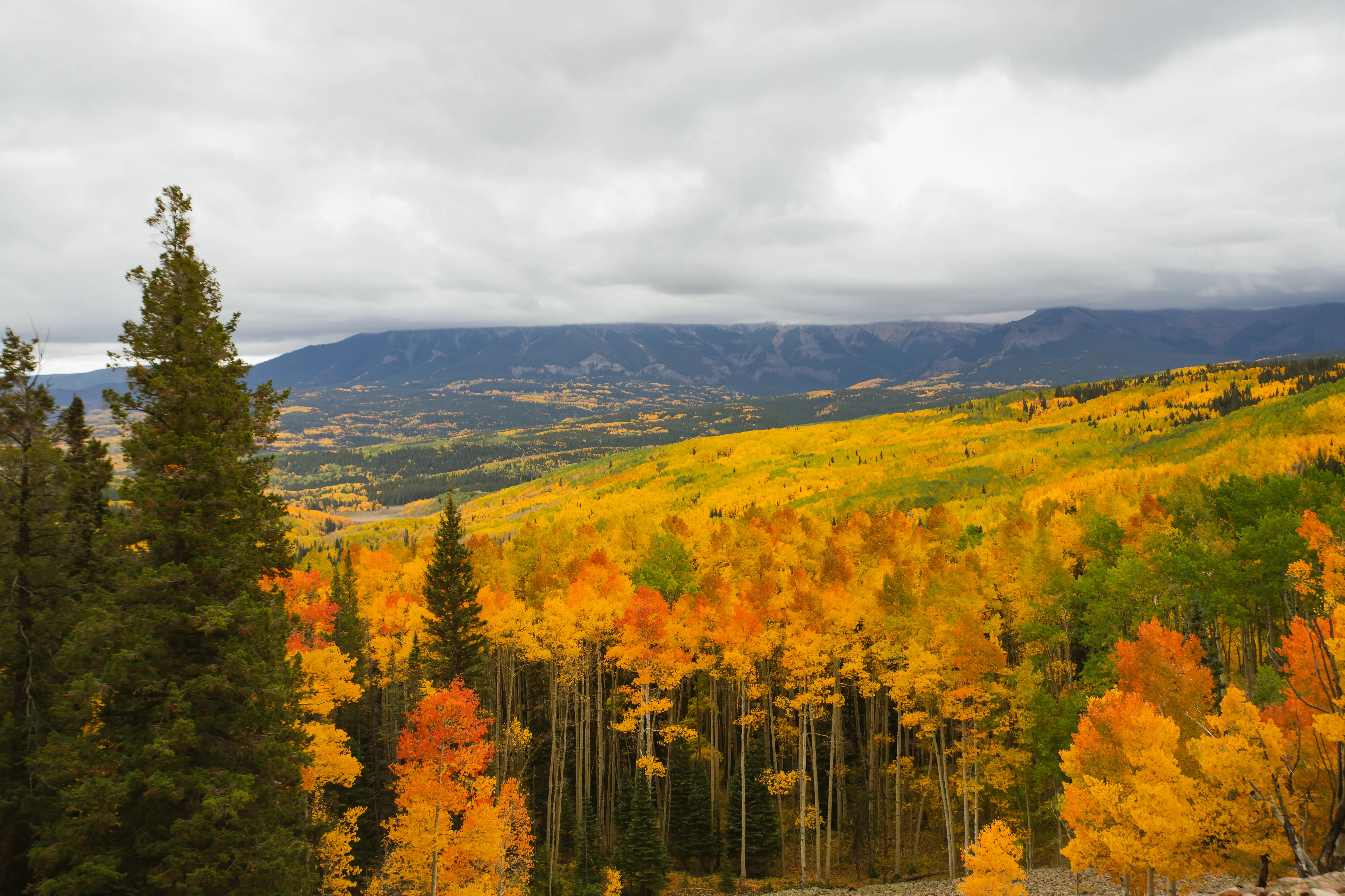 Streetside billboard with flyposters of the Batch.Works brand and illustrations