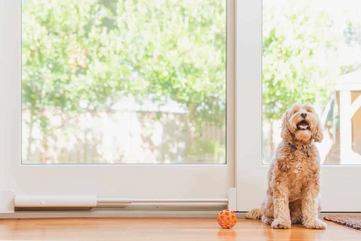Automatic Sliding Door Opener for Pet: A Smart Convenience Guide
