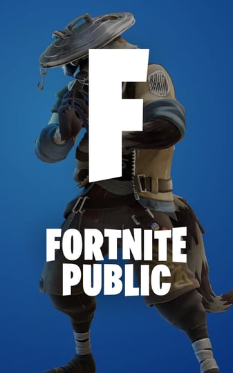 Fortnite Public