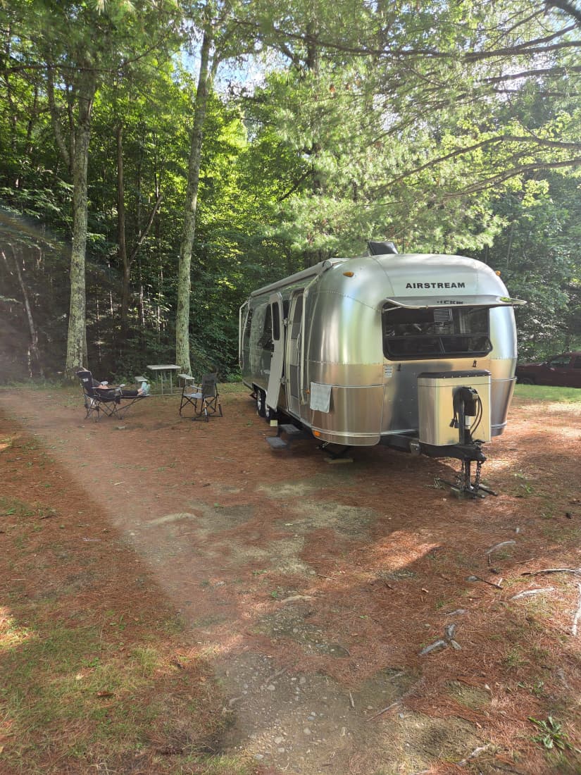 Silver Airstream trailer at a shaded, pine-needle-covered campsite at Pine Hollow