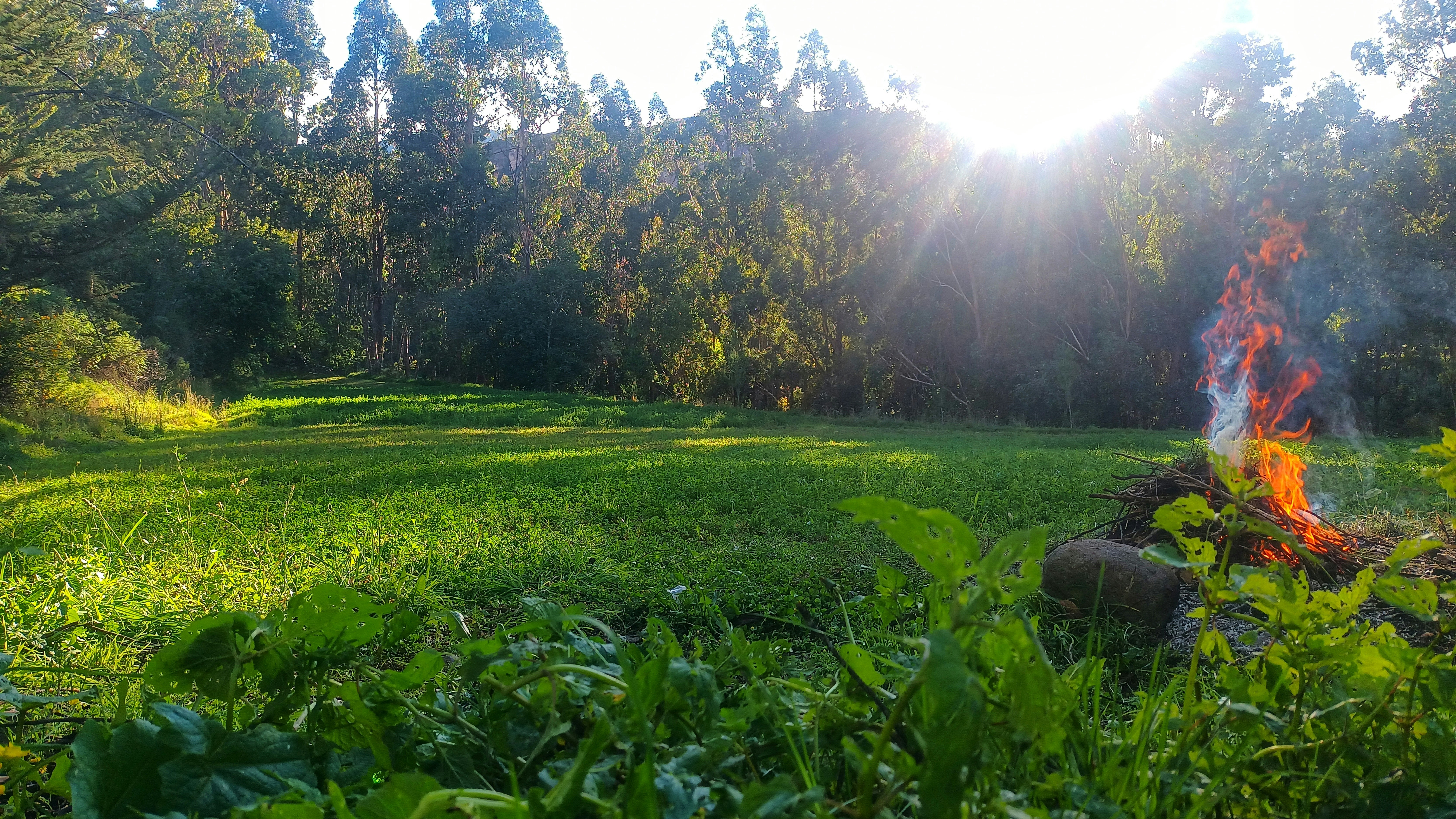 Sunlight shines on a grassy field with a small fire.