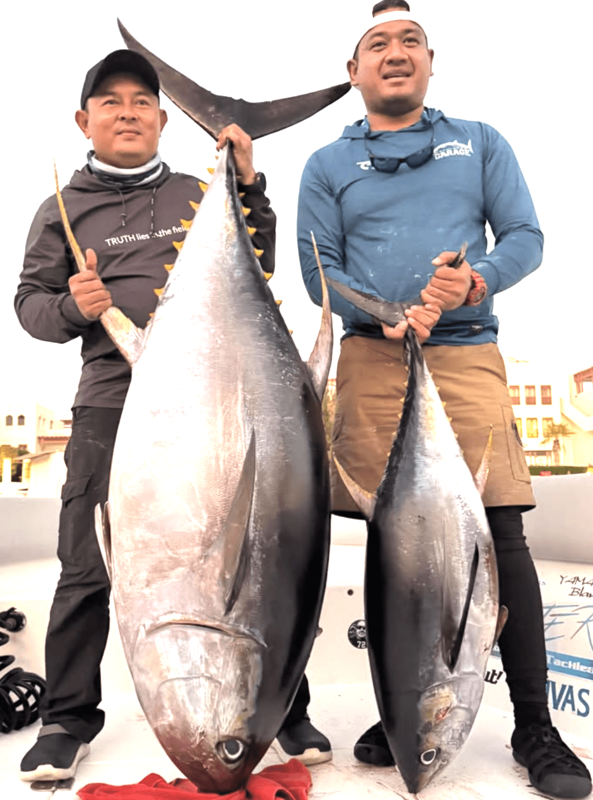 Oman, tun, yellowfin, popper, kastefiskeri, båd