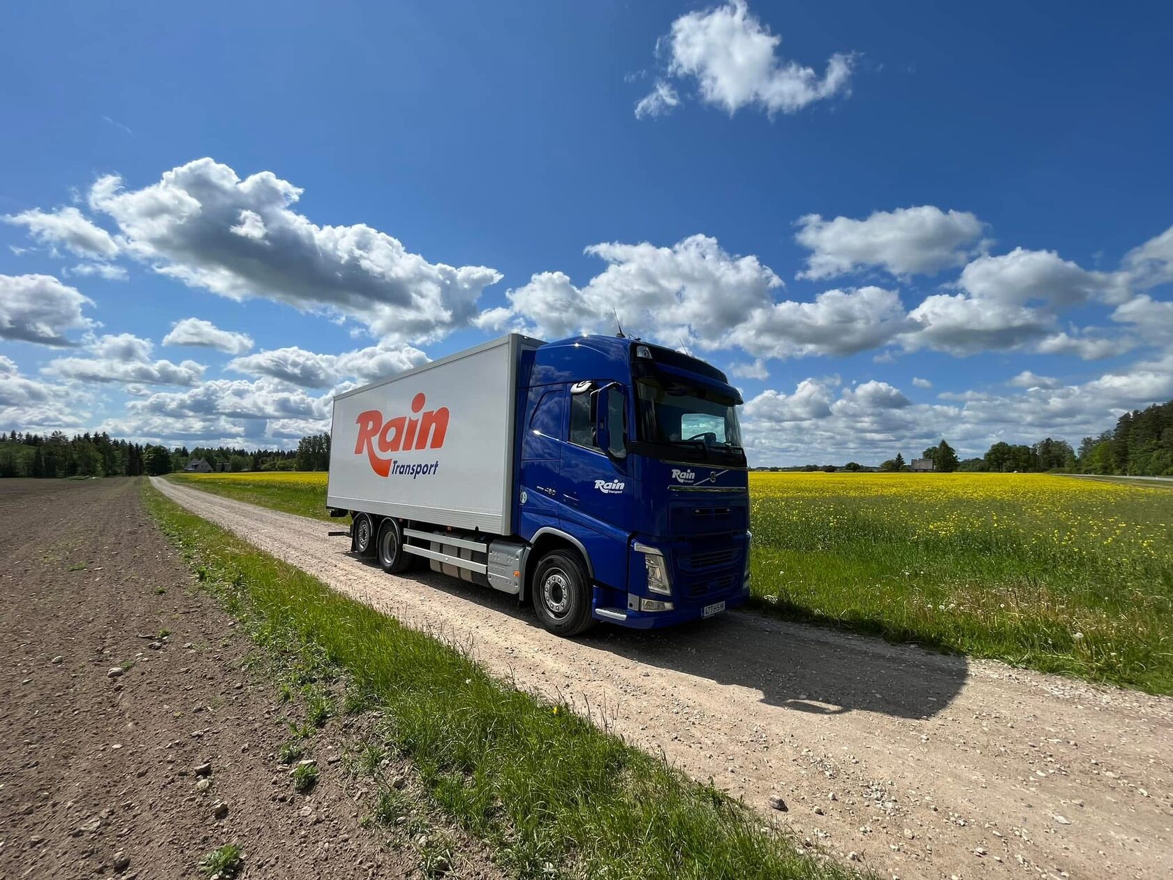 Blue Rain Transport truck on a gravel road beside a rapeseed field