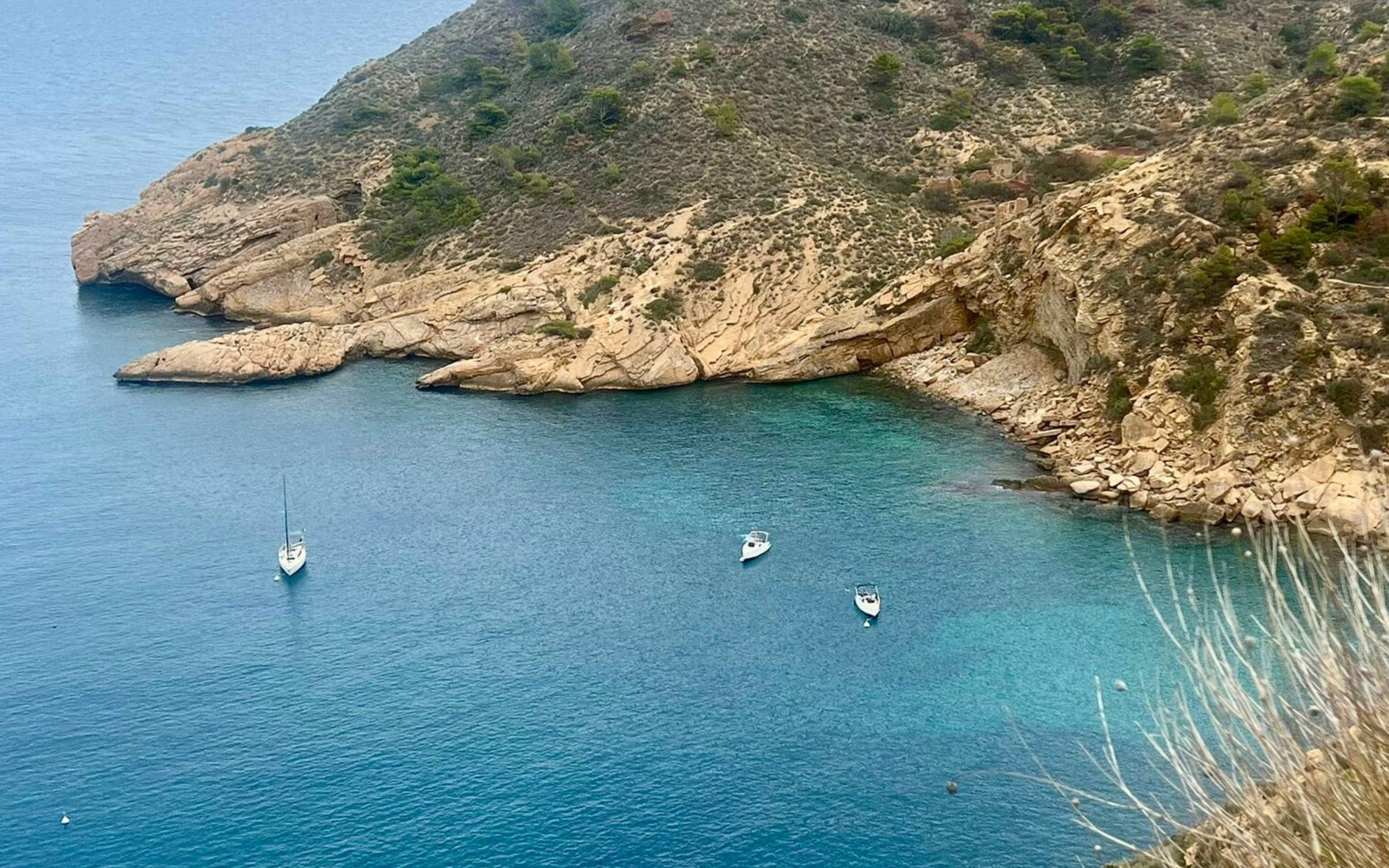 Cykelsemester i Moseldalen – på egen hand