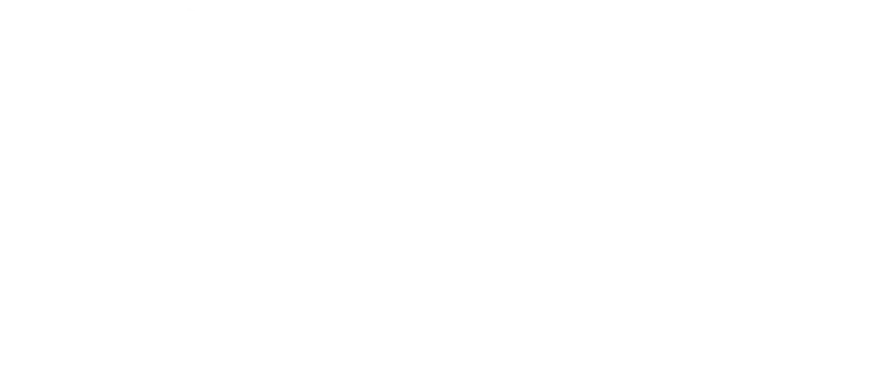 Bolt Logo