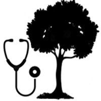 Tree health inspection with a stethoscope