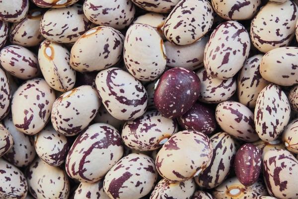 Fagioli borlotti