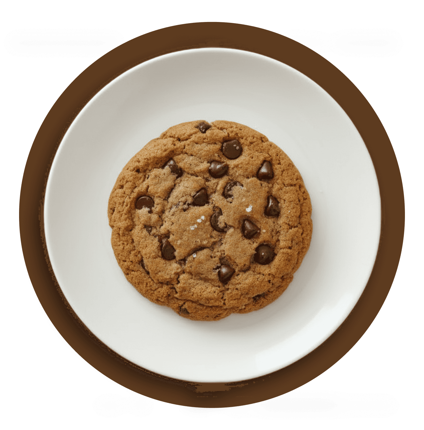 Chocolate cookie
