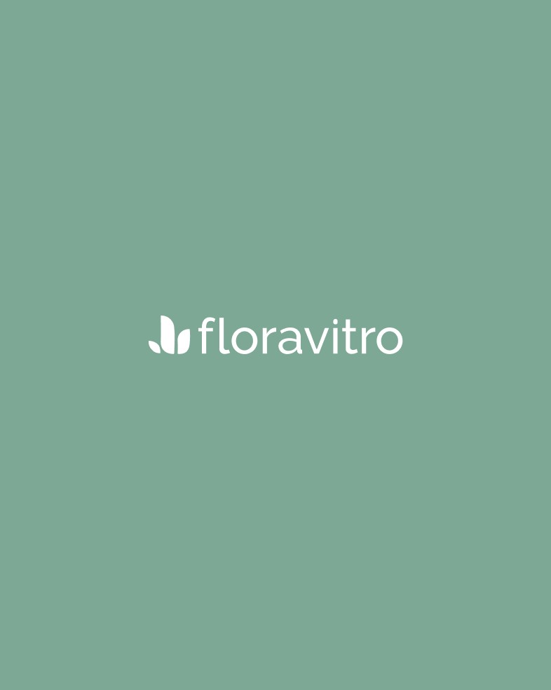 White logo on green background for plant nursery