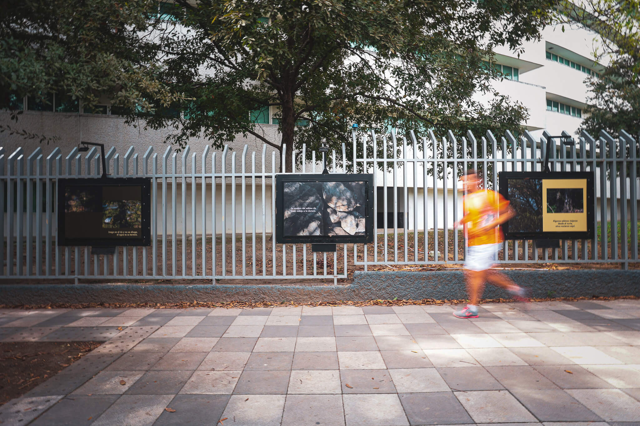 carlos vargas pons "metrópolis" en arte actual galería made week 2025 Arte y diseño en Monterrey