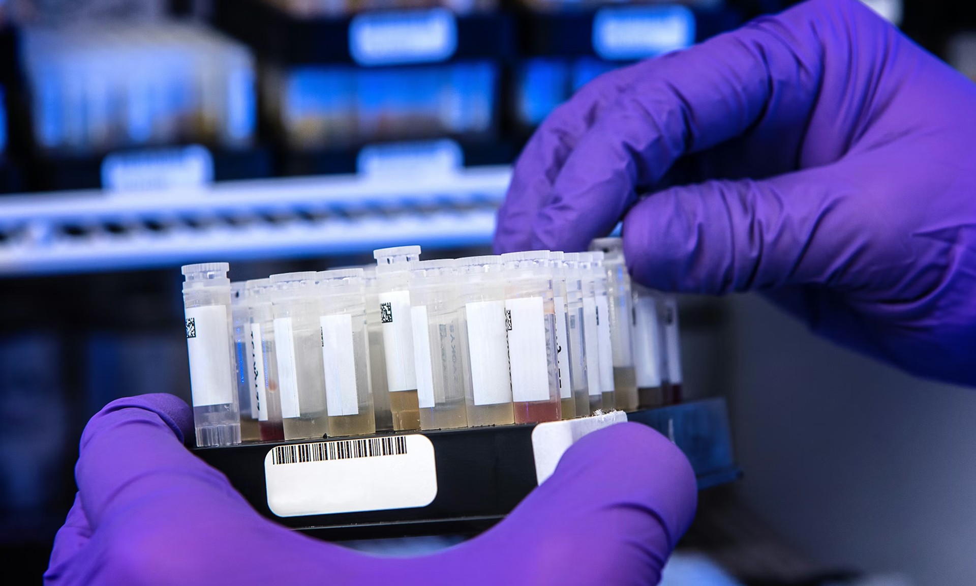 A photo of gloved hands holding DNA samples