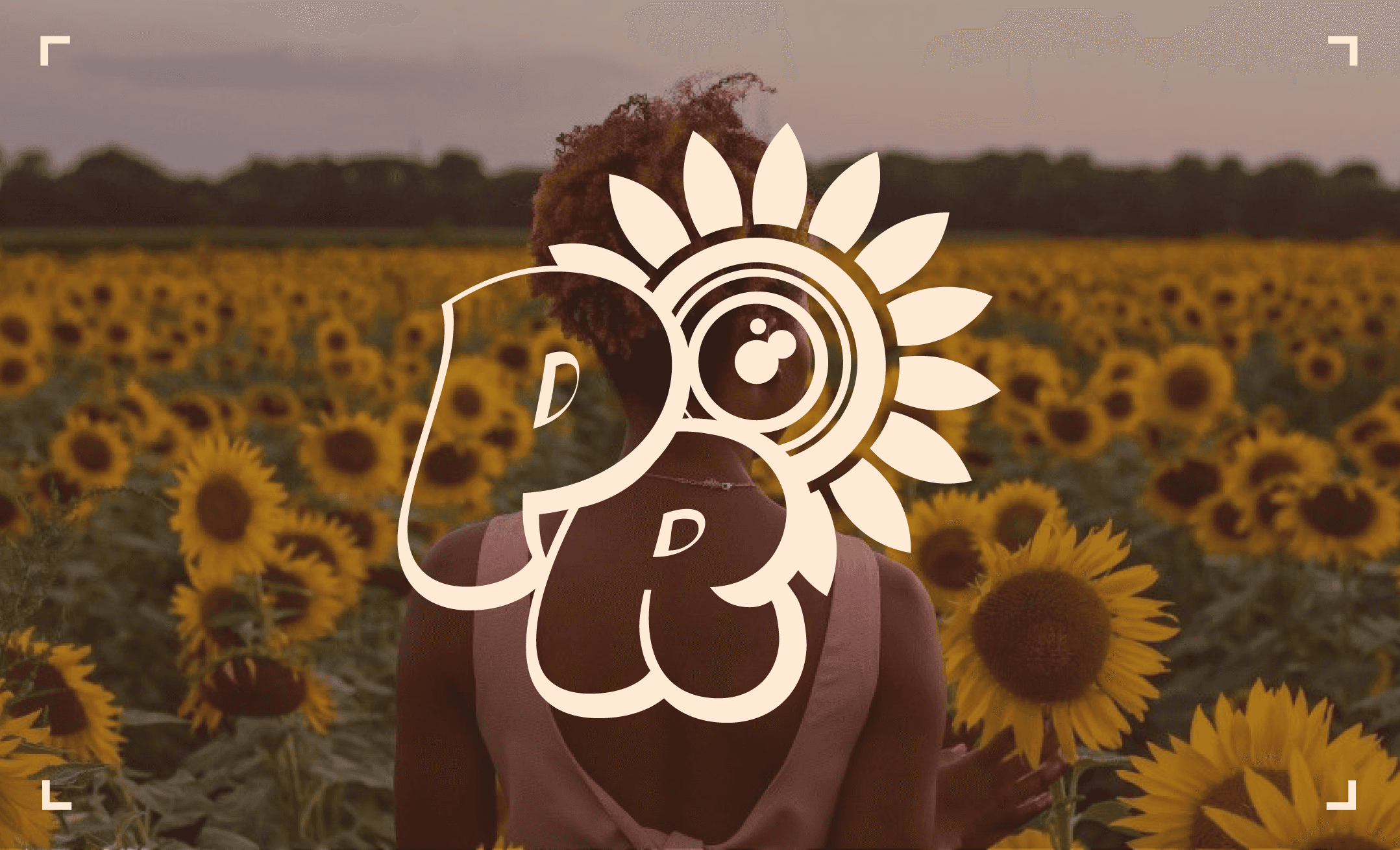 Stack of modern books and magazine with minimalist cover design on leather chair