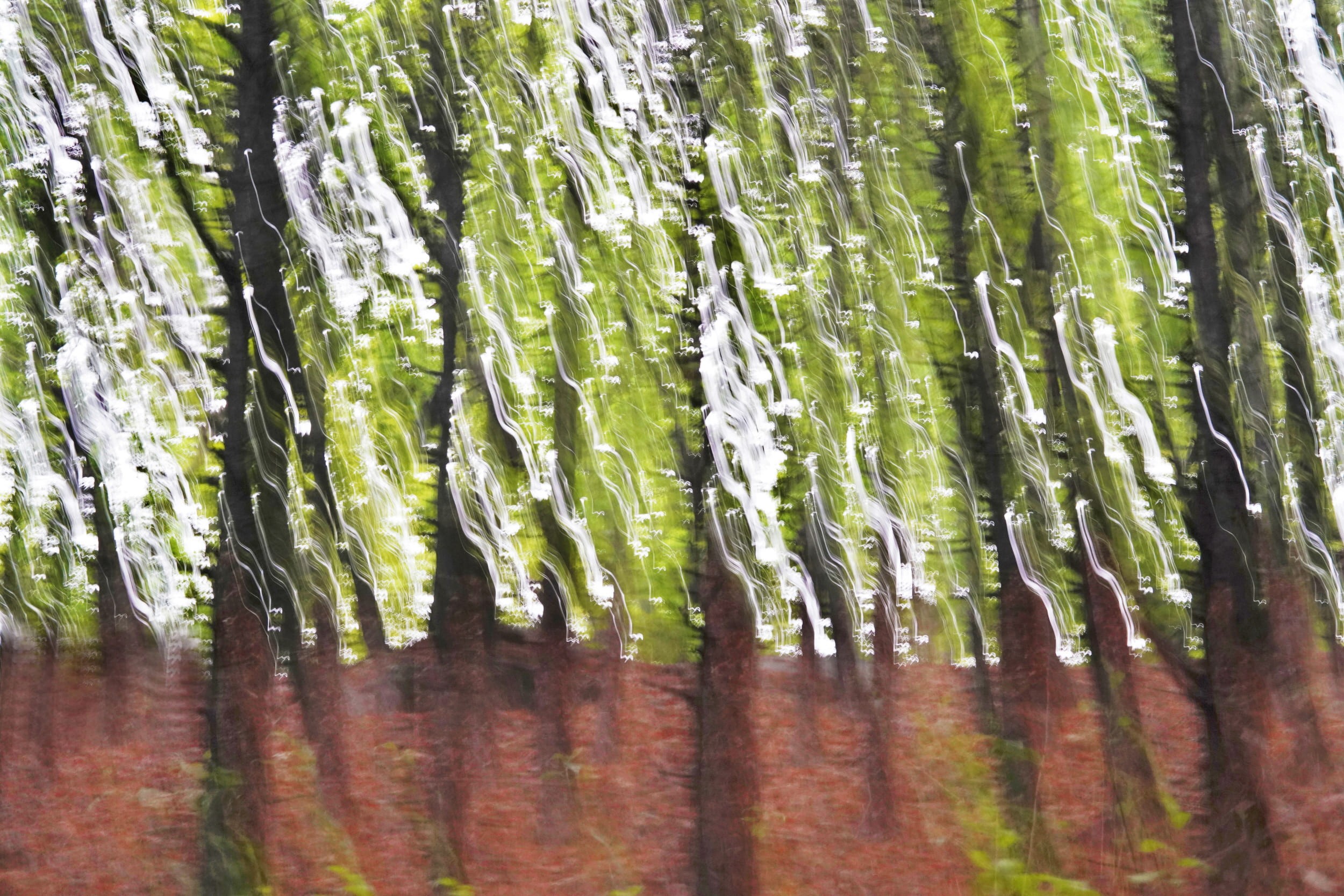 Placeholder for hero image