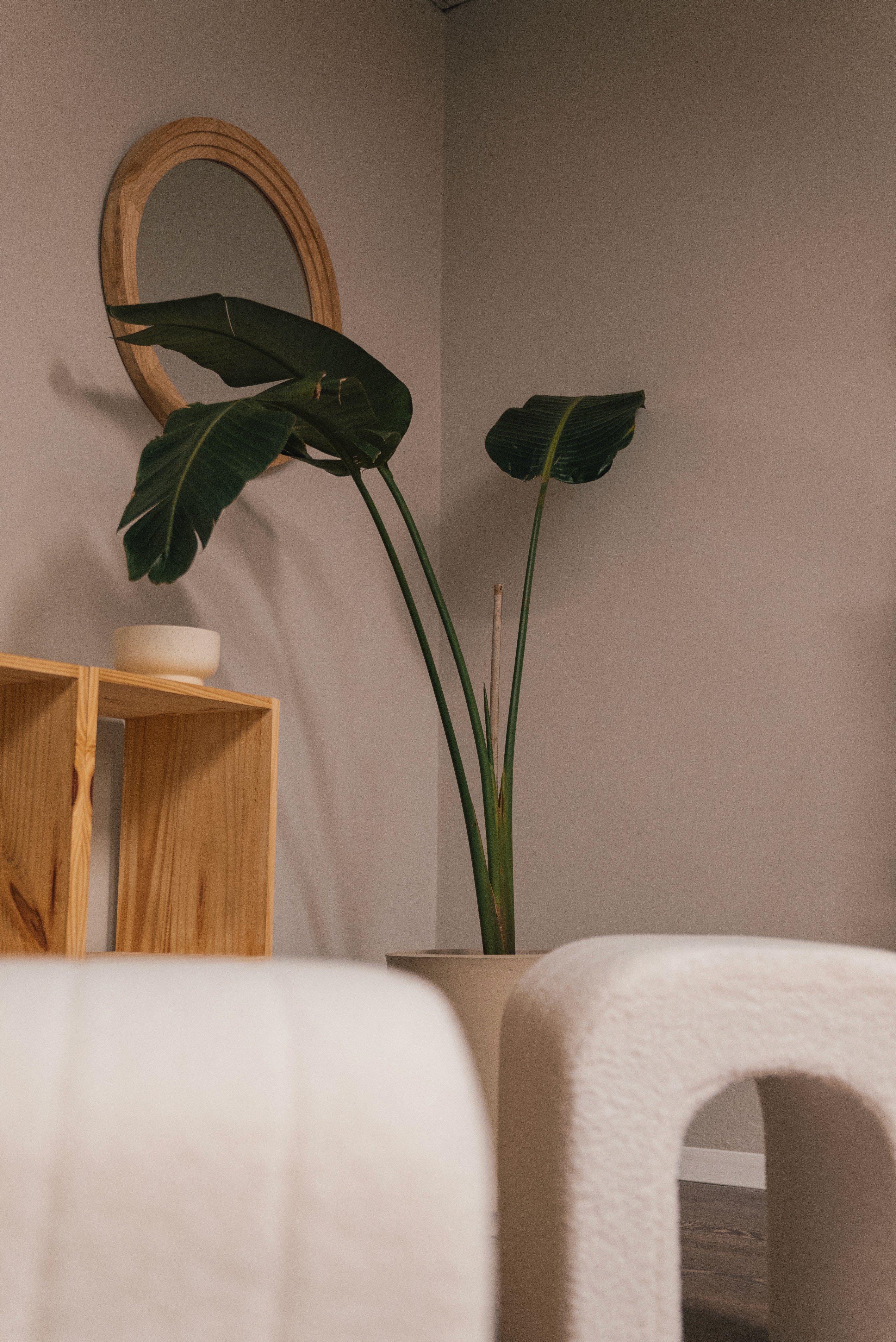 Studio interior