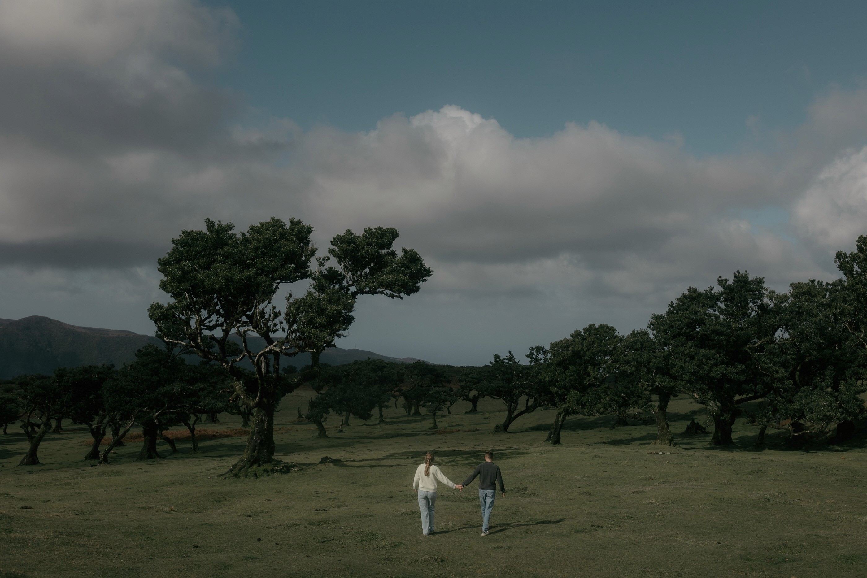 couple walking in ancient laurel forest madeira