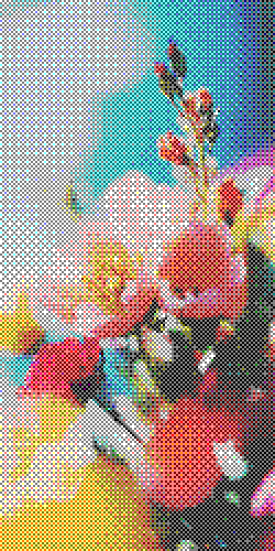 Soft pink flowers bouquet in dreamy pastel sky