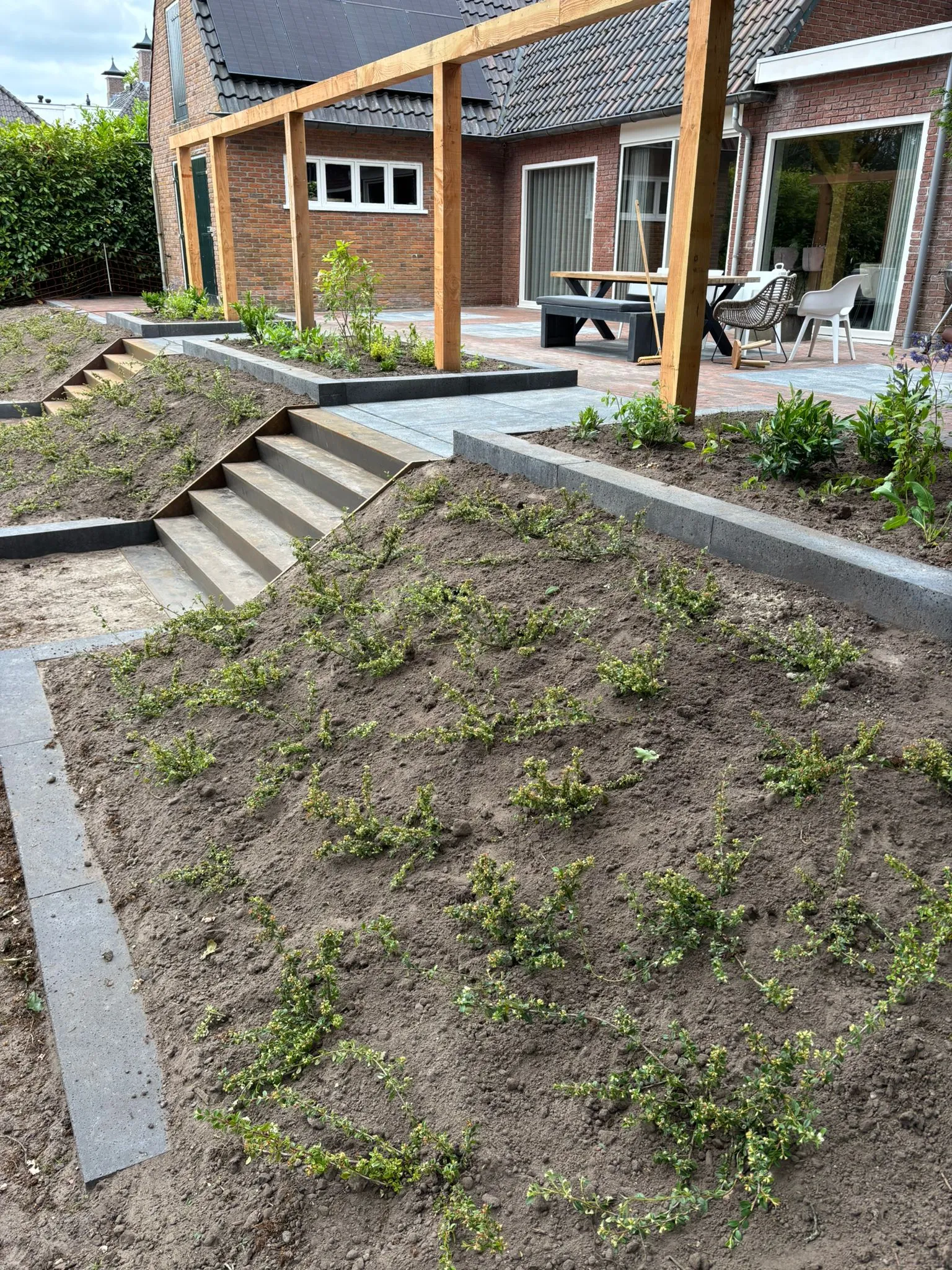 Rustiek terras met oud-Hollandse tegels en trap naar lager gelegen tuin, omringd door jonge planten en houten pergola.