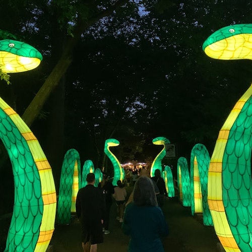 IllumiNights at Zoo Atlanta