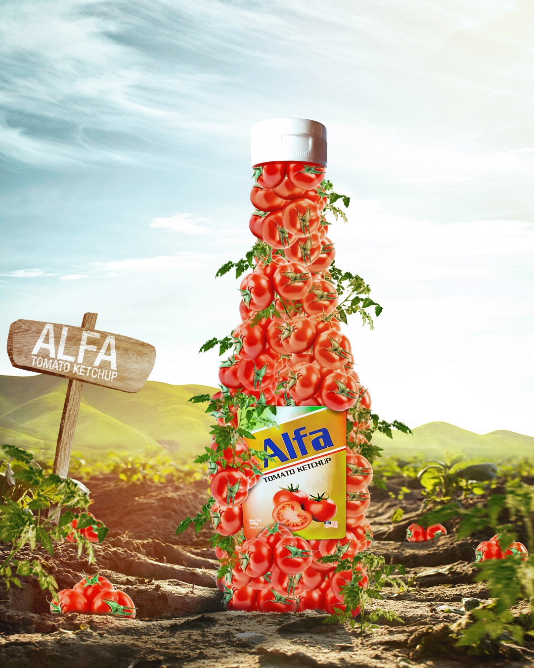 Alfa Ketchup AD Design