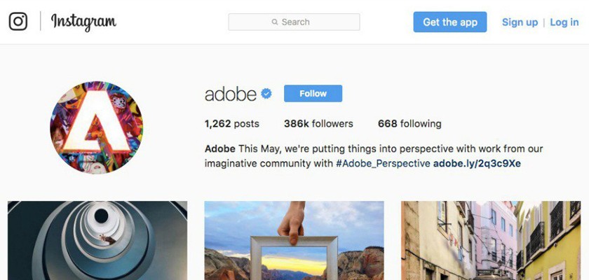 add in the bio session of Instagram