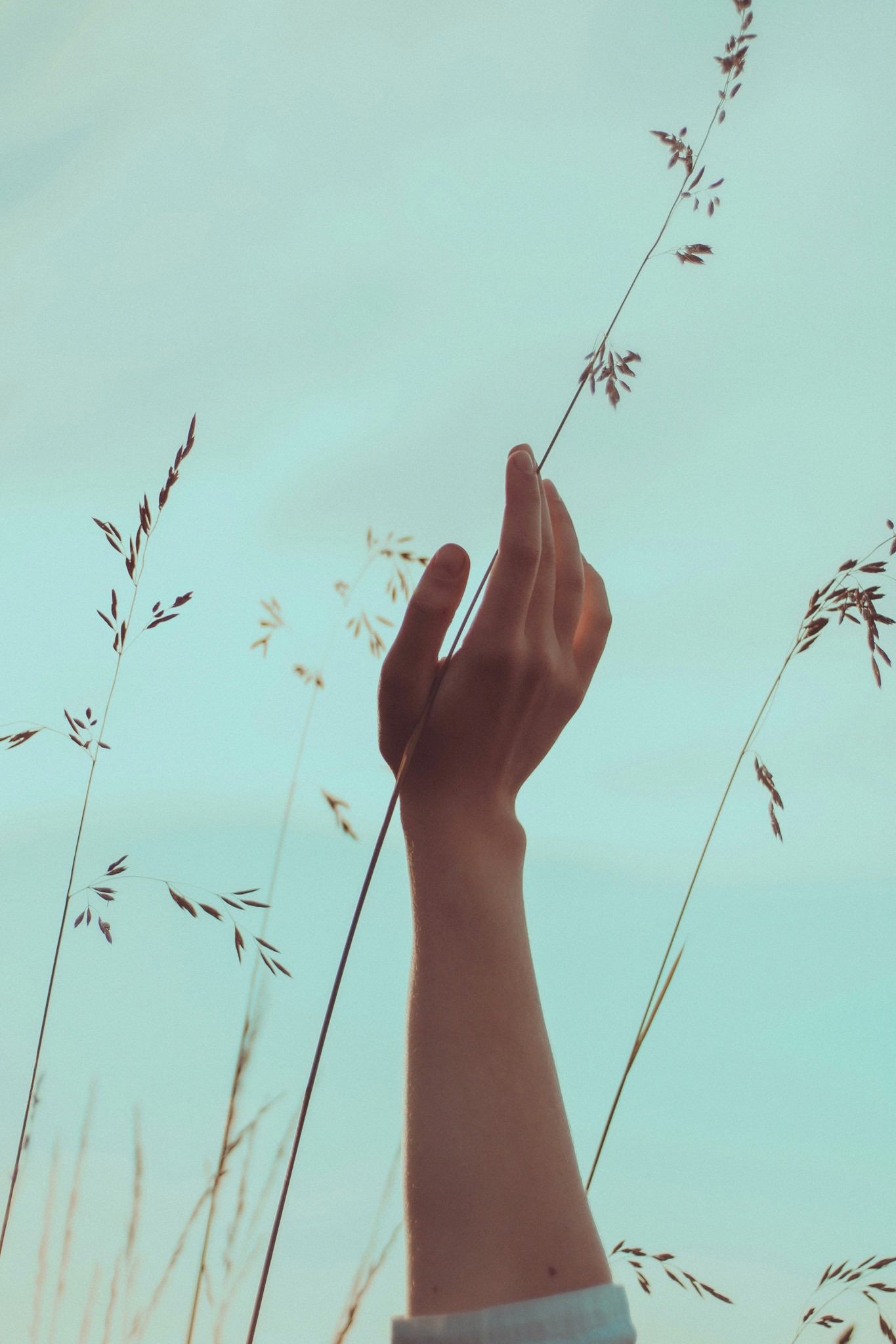 A cozy and inviting spa room with a neatly made bed, soft lighting, and warm wooden tones. The scene is partially framed by green plants, adding a natural and soothing touch.