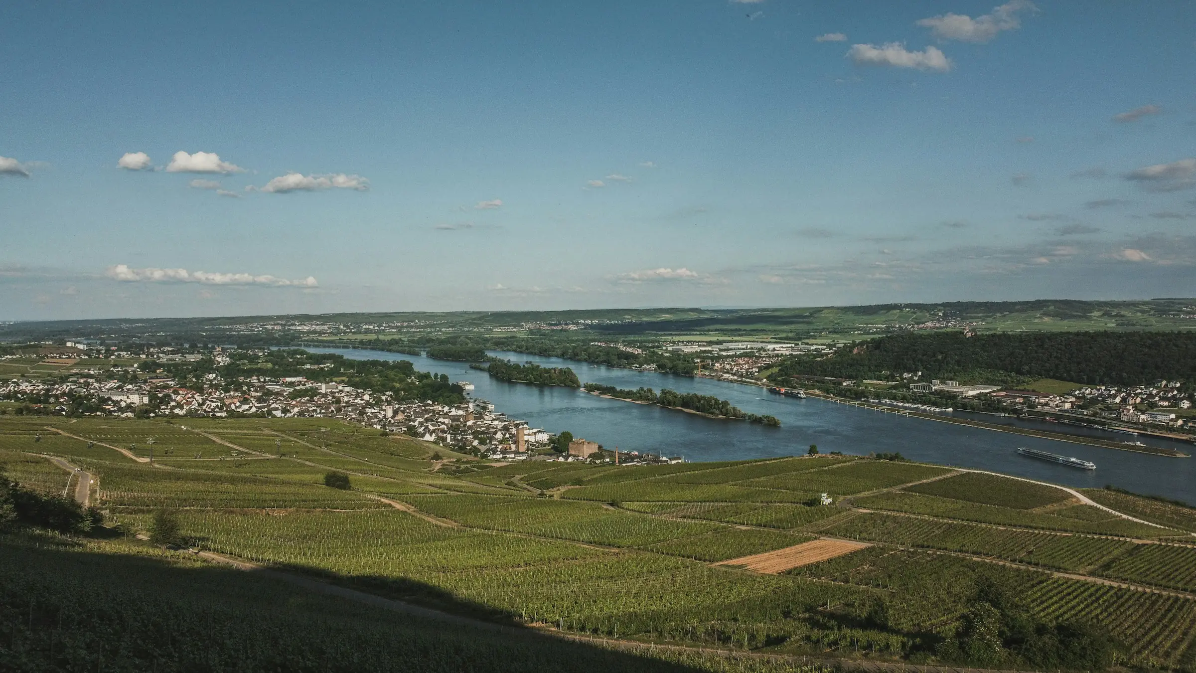Rüdesheim am Rhein, Weinberge über dem Rheintal im Abendlicht