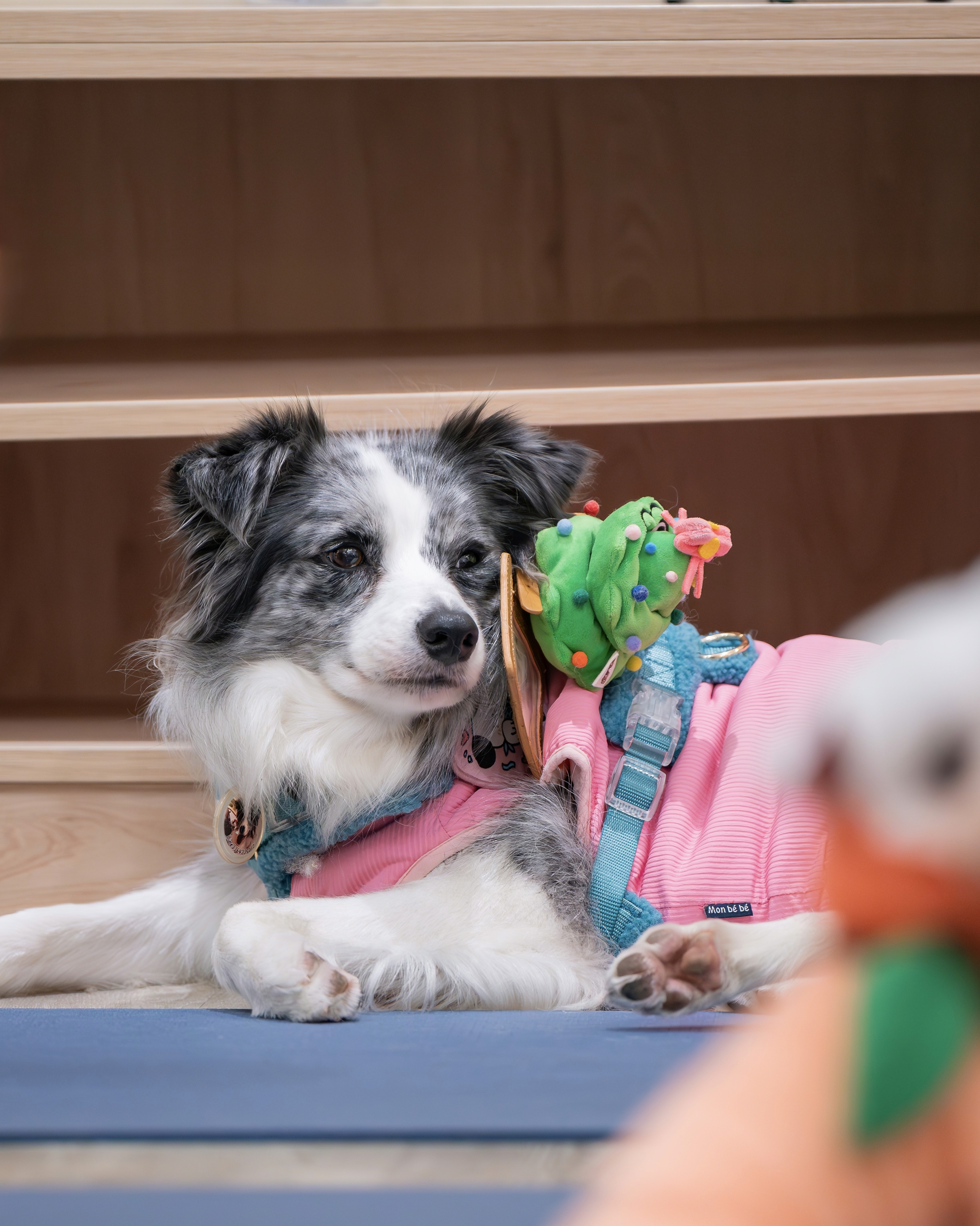 cool image of a guy posing in a vintage car