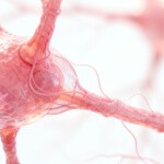 Medical imaging representing early cancer detection and screening integrated in Eternal