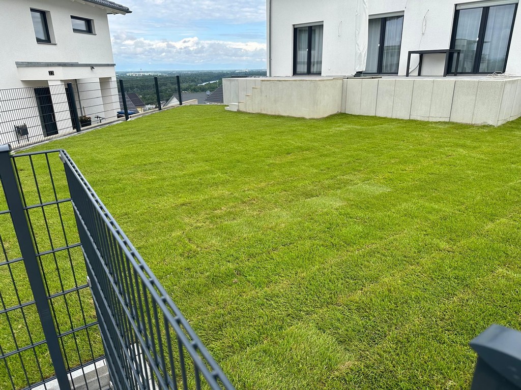 Frisch verlegte Rasenfläche mit Rollrasen – Galabau für private Gärten