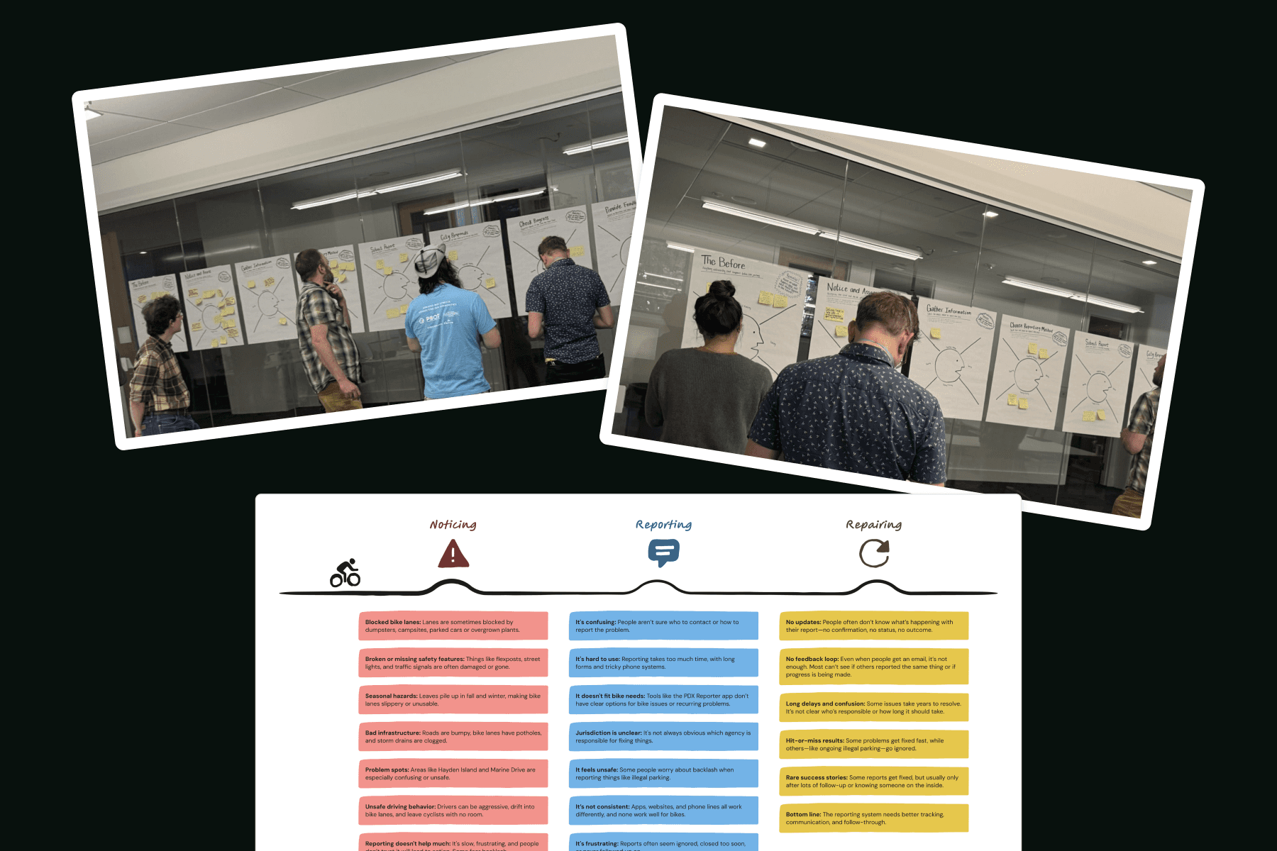 trees on forest with sun rays