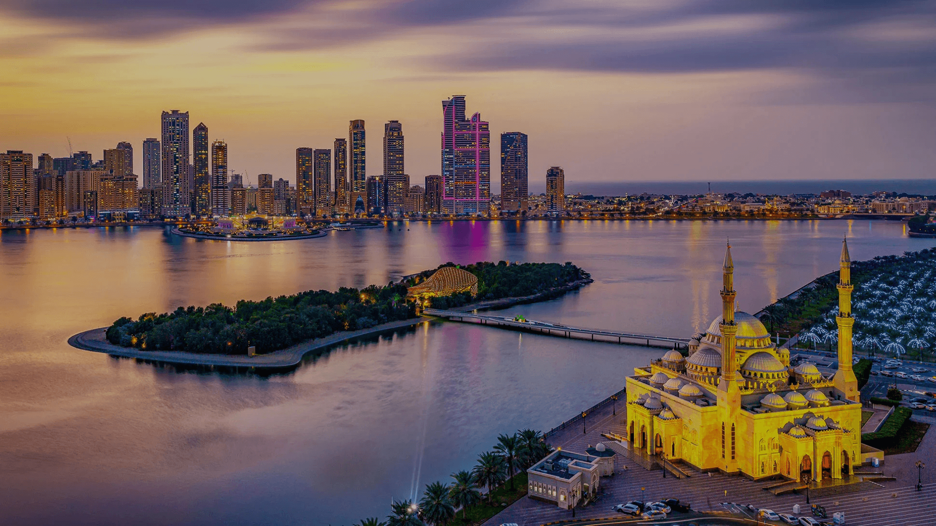 Close-up of lush, dark green leaves, some glossy and wet, against a muted background.