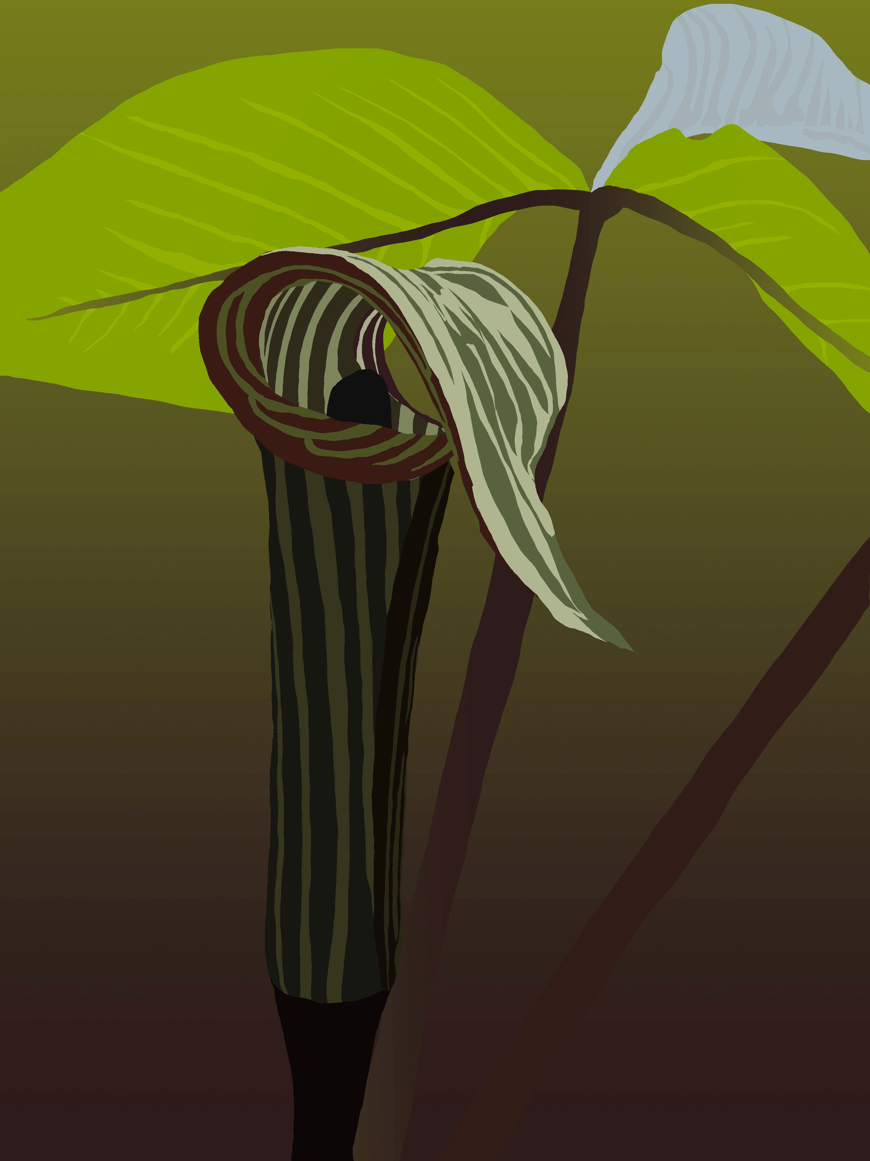 State of New Hampshire with a heart