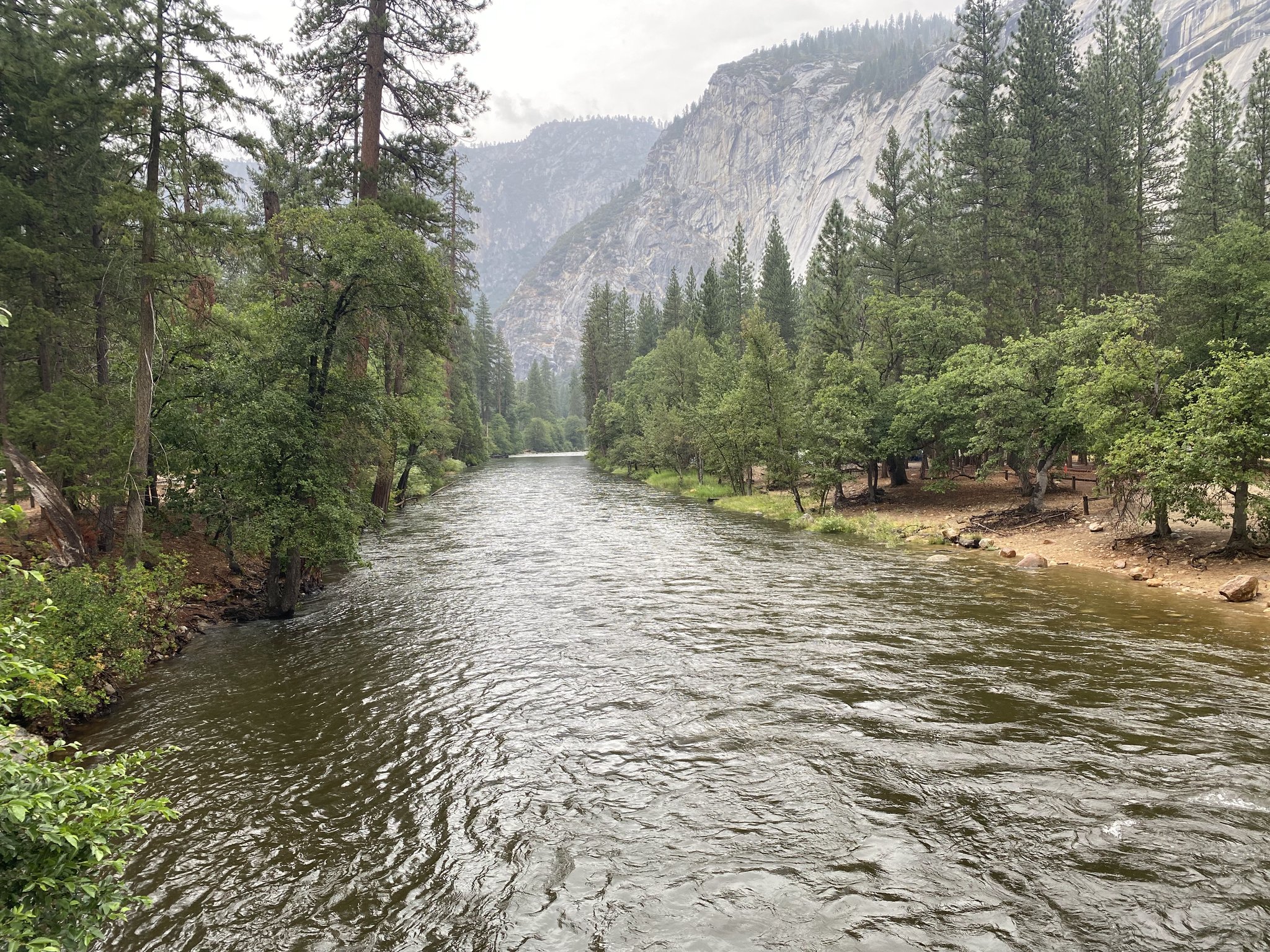Man in suit standing in ocean at sunset