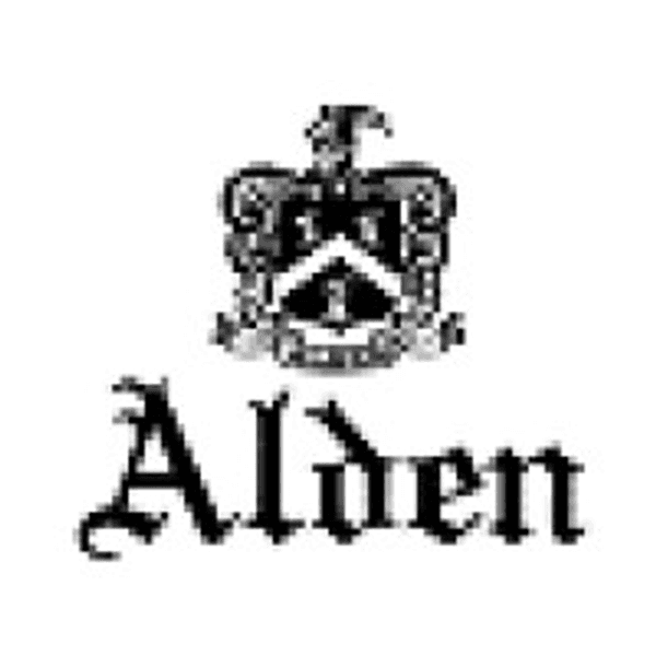 Logo of The ShoeMart
