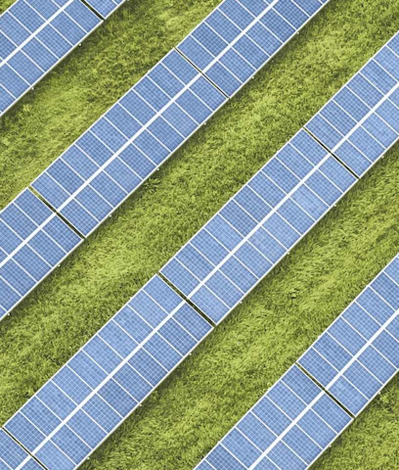 Beautiful landscaped garden with greenery and outdoor design elements.