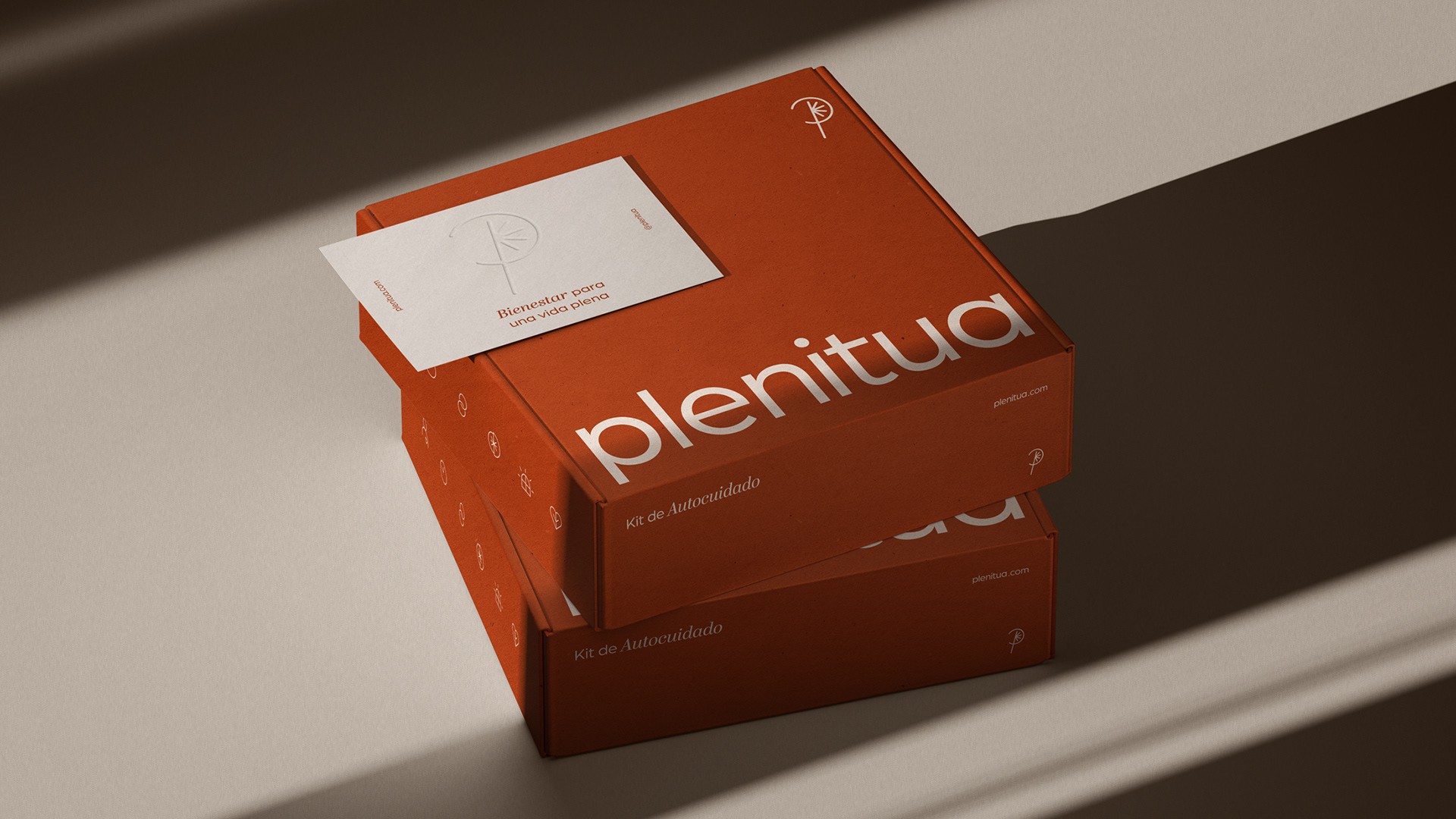 Proceso creativo de branding para Plenitua, con símbolo inspirado en naturaleza – Lagom Studio Santiago.