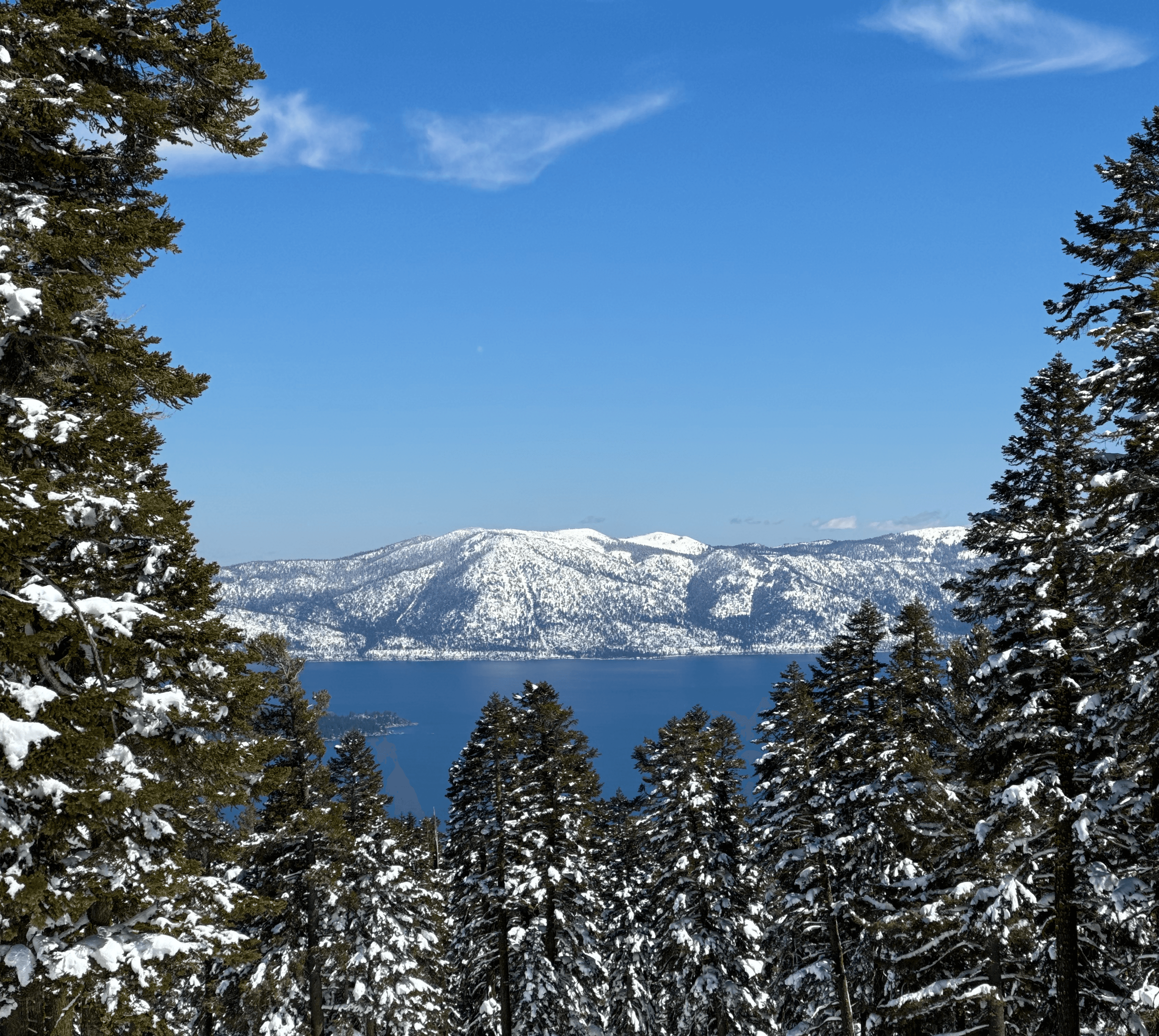 Close-up of two hands gently clasped, one wearing a sparkling engagement ring. The soft lighting and pastel nails evoke a sense of romance and intimacy.
