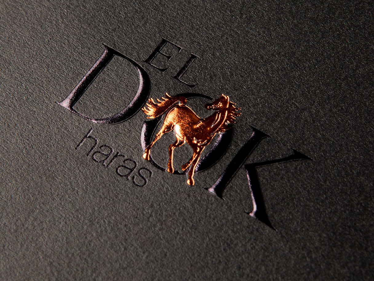 Rooftops of a coastal town with the sea in background